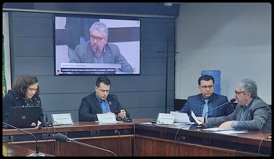 Enturmações nas escolas públicas estaduais.