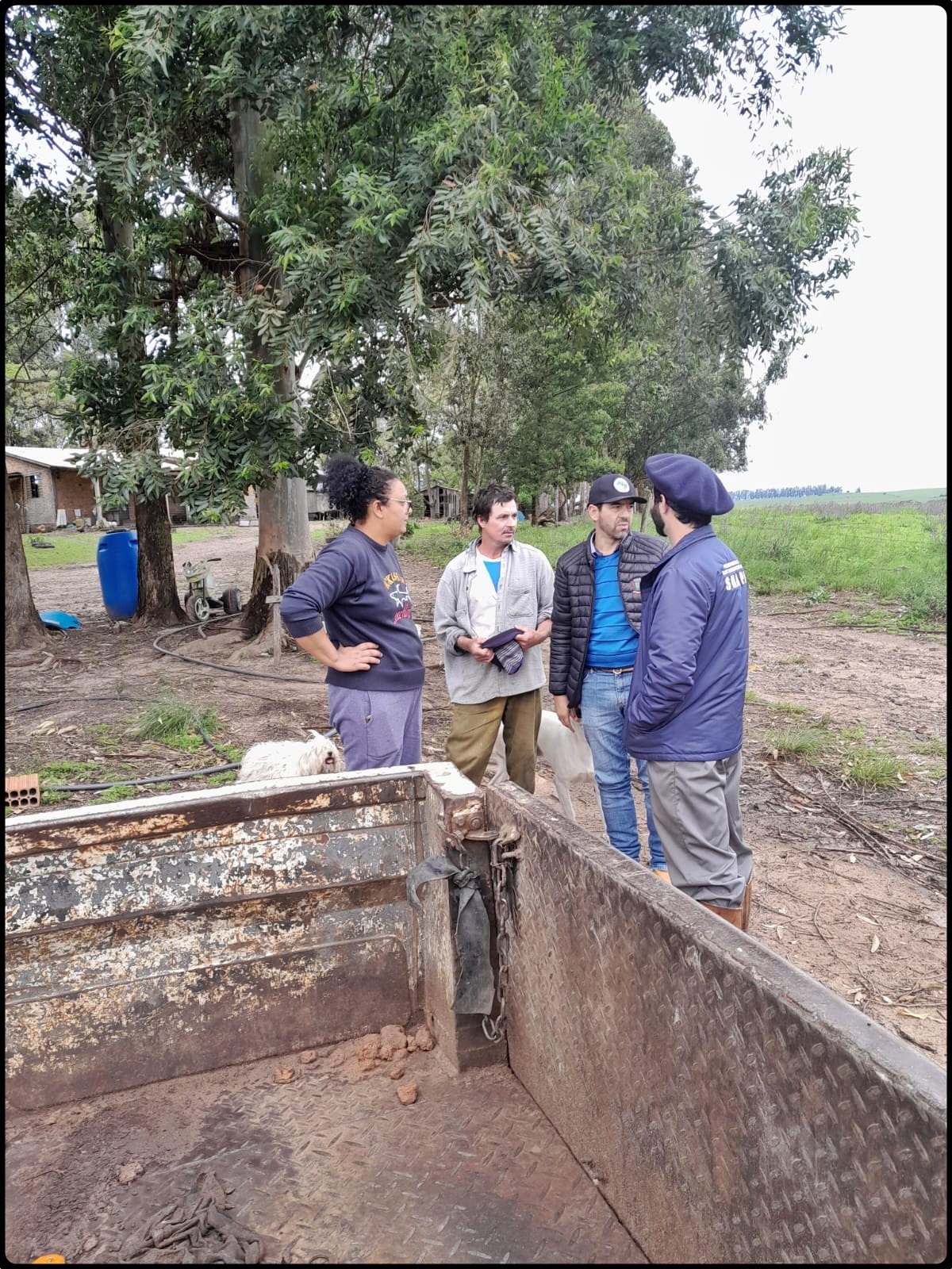  Recuperação  imediata.