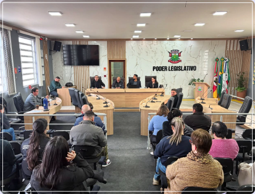 Audiência Pública do  Plano Plurianual 2026/2029.