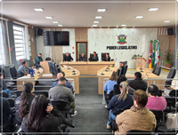 Audiência Pública do  Plano Plurianual 2026/2029.