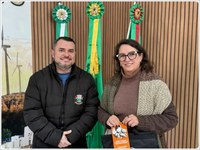  Realização de cirurgias de artroscopia no joelho.