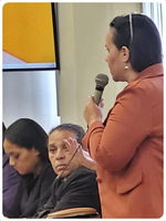 Solução construída para as famílias do Batuva.