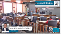 7ª Sessão Ordinária da Representativa de 2021