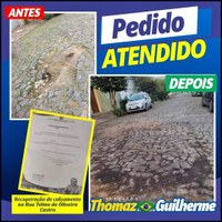 Rua Telmo de Oliveira Castro.